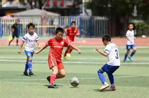 醉彩速递,期双色球绝,密杀号揭晓,易币付官网下载,易币付app官网下载,易币付电脑版