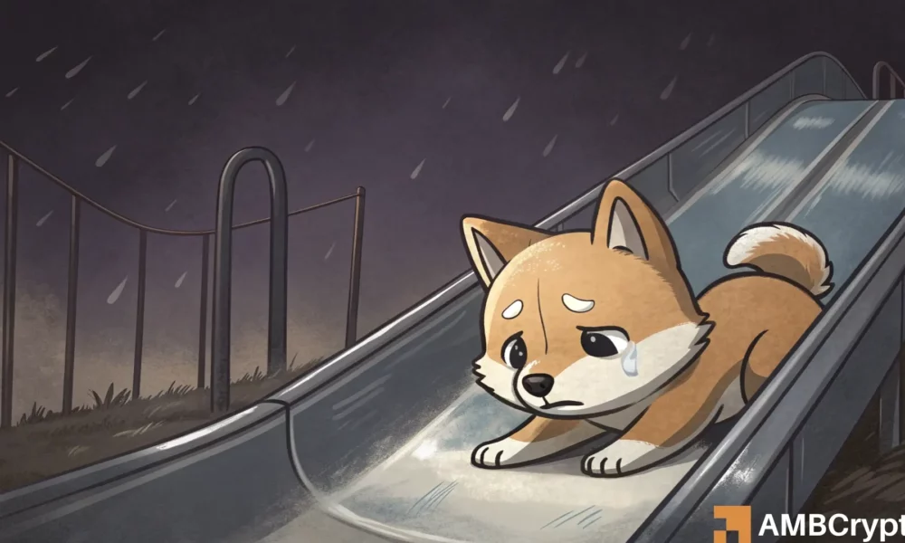 钟楚曦疑似,开启新恋情,与年轻帅哥,易币付官网下载,易币付app官网下载,易币付电脑版