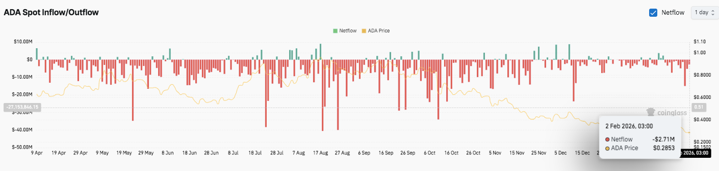 惊艳亮相,阿娇伤愈后,直播,易币付官网下载,易币付app官网下载,易币付电脑版