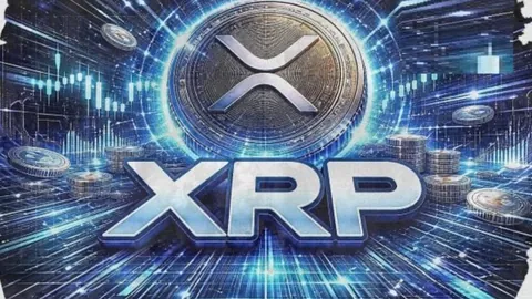 鲁豫旗下企业频遭执行，标的额逾446万元