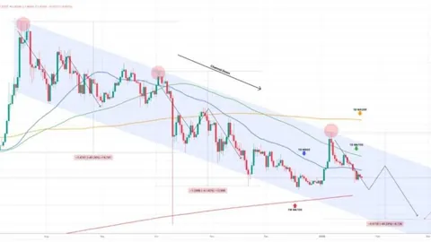 马伊琍投资700万创办传媒企业